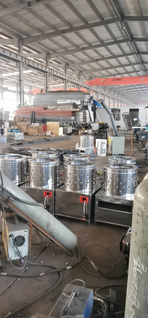 大型商用全自动脱毛机产品介绍与润滑设备咨询指南